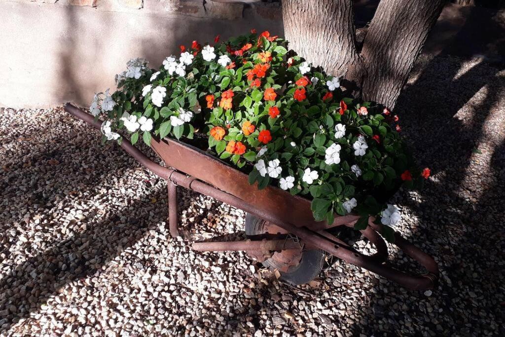 Southfield Cottage Middelburg  Esterno foto